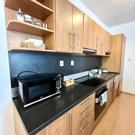 Tina - Old Town, Ac, Free Private Parking Apartment Pressburg