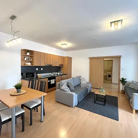 Tina - Old Town, Ac, Free Private Parking Apartment Pressburg